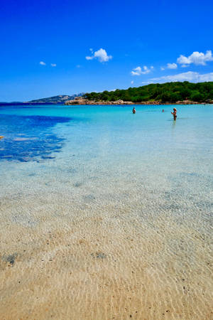 Palau Tourists On Beach Wallpaper