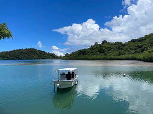 Palau White Boat Wallpaper