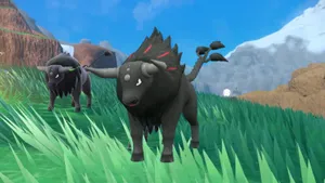 Paldean Tauros In Grassy Field Wallpaper