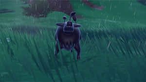 Paldean Tauros In The Rain Wallpaper