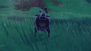 Paldean Tauros In The Rain Wallpaper