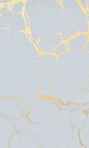 Pale Blue Gold Marble Wallpaper