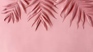 Pale Pink Tropical Leaves Background Wallpaper