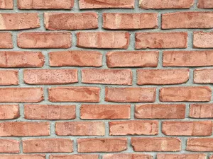 Pale Red Brick Texture With Spaces Wallpaper