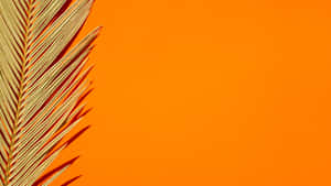 Palm Leaf On Orange Background Wallpaper