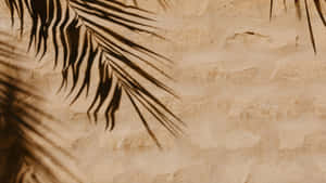 Palm Leaf Shadow Art Wallpaper