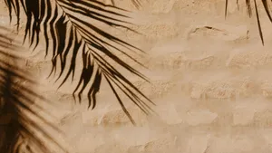 Palm Leaf Shadow Art Wallpaper