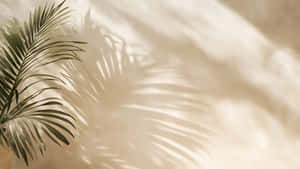 Palm Leaf Shadow Art Wallpaper