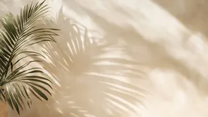 Palm Leaf Shadow Art Wallpaper