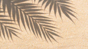 Palm Leaf Shadow On Sand Wallpaper