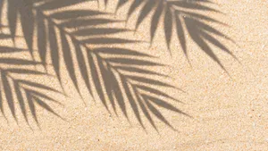 Palm Leaf Shadow On Sand Wallpaper
