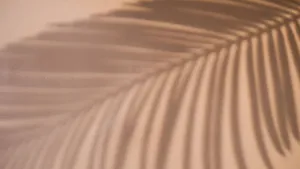 Palm Leaf Shadow Play Wallpaper