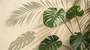 Palm Leaf Shadows Wallpaper