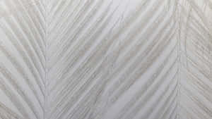 Palm Leaf Texture Closeup Wallpaper