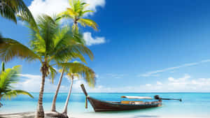 Palm Tree Beach Canoe Wallpaper