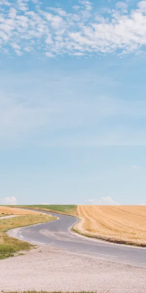 Palm Tree Reflection Wallpaper