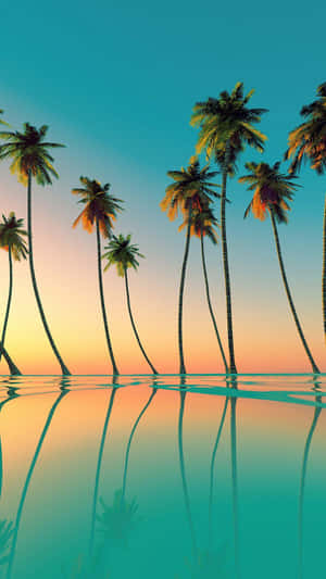 Palm Trees In The Water At Sunset Wallpaper