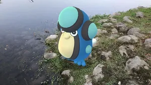 Palpitoad Spotted On Pokemon Go Wallpaper