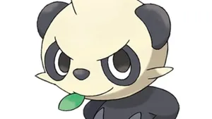 Pancham Close-up Wallpaper