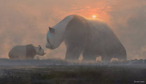 Panda And Cub Sunset Wallpaper