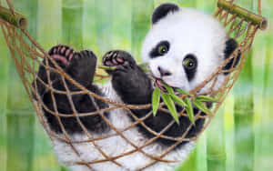 Panda Laptop On A Hammock Wallpaper