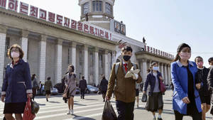 Pandemic Life - A Person Wearing A Face Mask Wallpaper