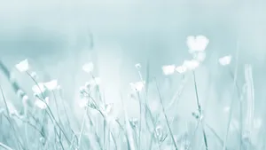 Panoramic View Of The Blue Mountain Range Wallpaper