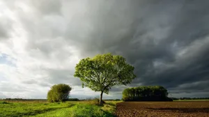 Panoramic Vista Of Enchanting Rural Landscape Wallpaper