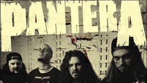 Pantera - A Cd Cover Wallpaper