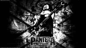 Pantera The Wolf Wallpapers Wallpaper