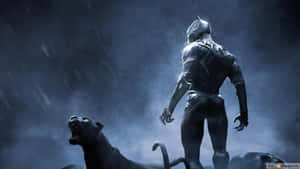 Panther Animal And Black Panther Landscape Wallpaper