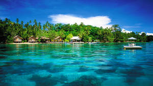 Papua New Guinea Beach Wallpaper