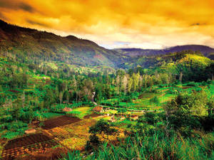 Papua New Guinea Orange Clouds Wallpaper