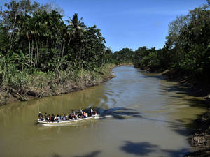 Papua New Guinea River Wallpaper