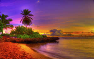 Paradise Awaits Wallpaper