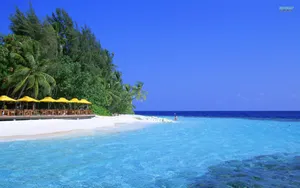 Paradise Awaits: Stunning Maldives Beach Wallpaper