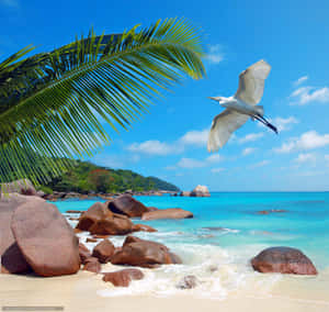 Paradise Unveiled: The Stunning Beauty Of Seychelles Beach Wallpaper