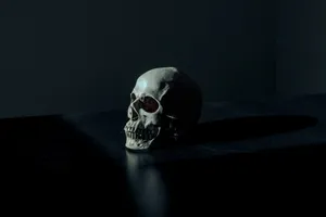 Paranormal Dark Anime Skull Wallpaper