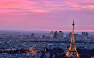 Paris Pink City Wallpaper