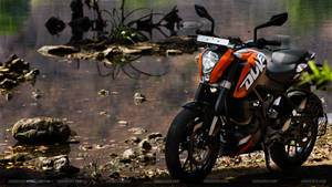 Parked Ktm Duke 200 Wallpaper