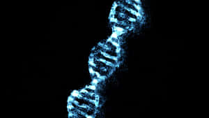 Particular Dna Molecules Wallpaper