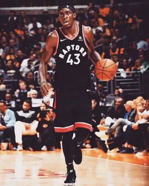 Pascal Siakam On Court No. 43 Wallpaper