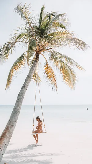 Pastel Beach Swing Serenity.jpg Wallpaper
