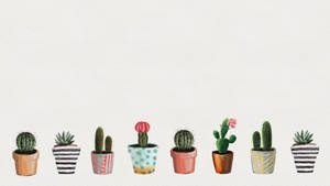 Pastel Cactus Flower Pot In Line Desktop Wallpaper