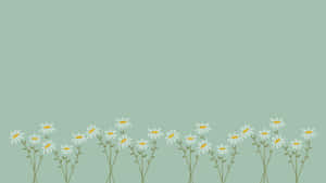 Pastel Daisy Field Aesthetic Wallpaper