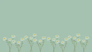 Pastel Daisy Field Aesthetic Wallpaper