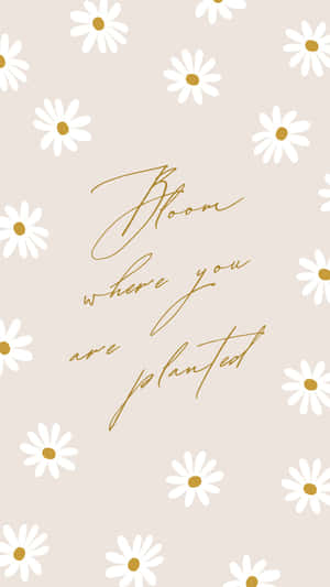 Pastel Daisy Inspirational Quote Wallpaper