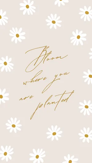 Pastel Daisy Inspirational Quote Wallpaper