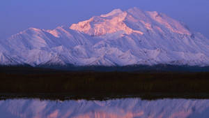 Pastel Denali With Reflection Wallpaper