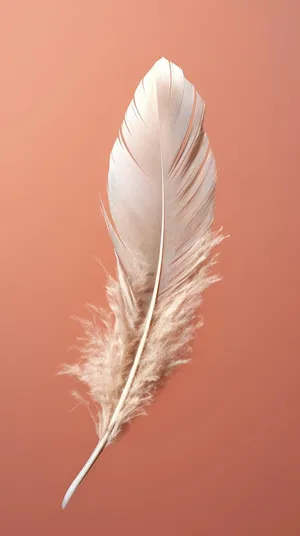 Pastel Feather Aesthetic.jpg Wallpaper